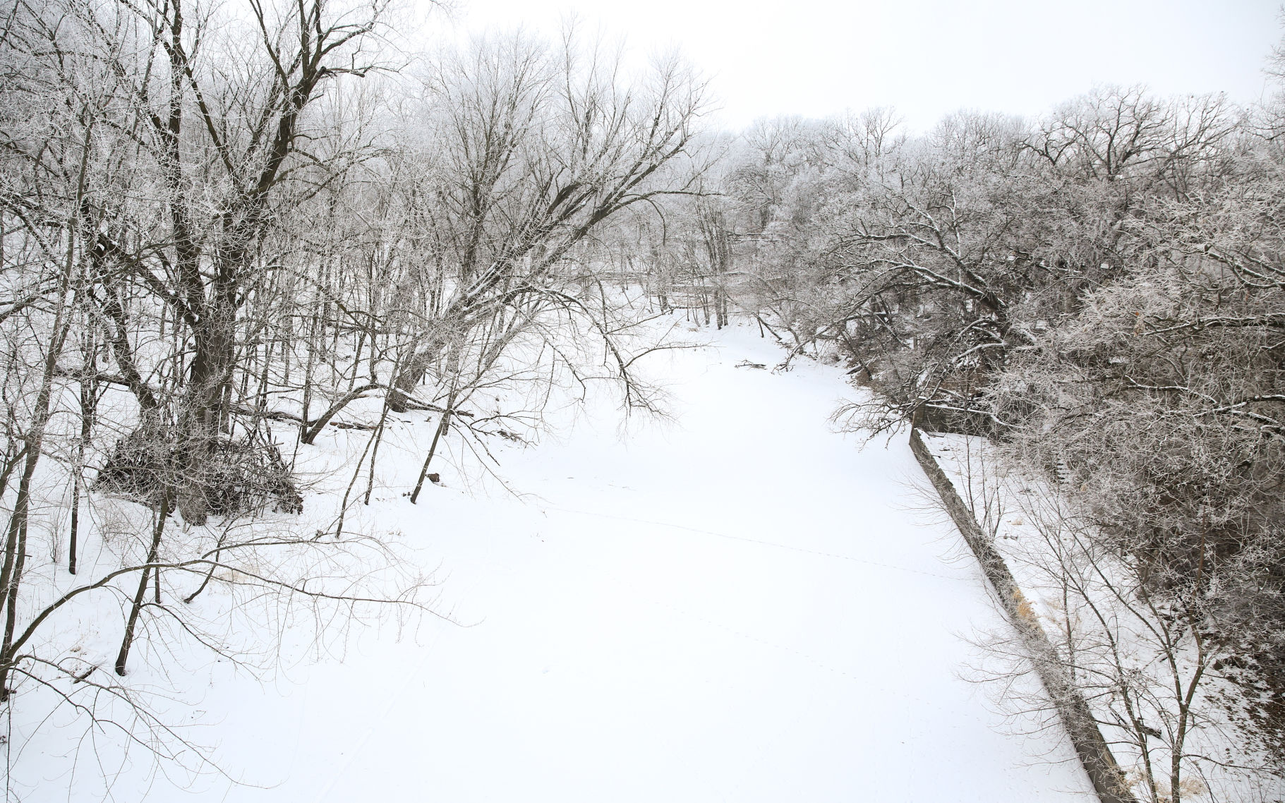 Frosty day - Feb. 2, 2020-2.jpg
